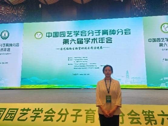 英国上市公司365