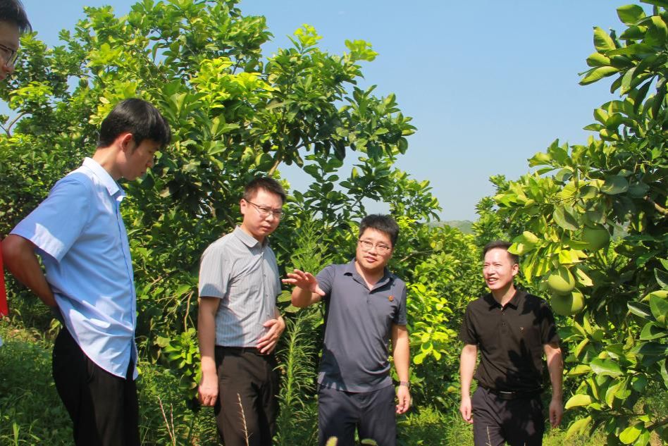 英国上市公司365