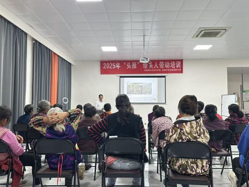 英国上市公司365