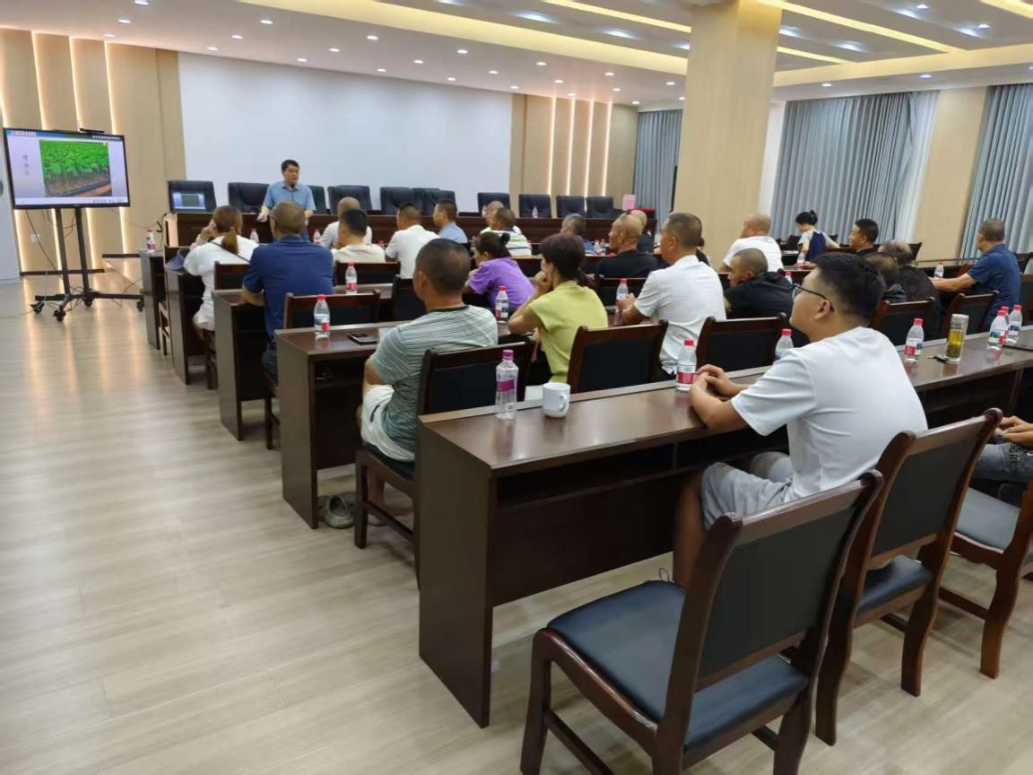 英国上市公司365