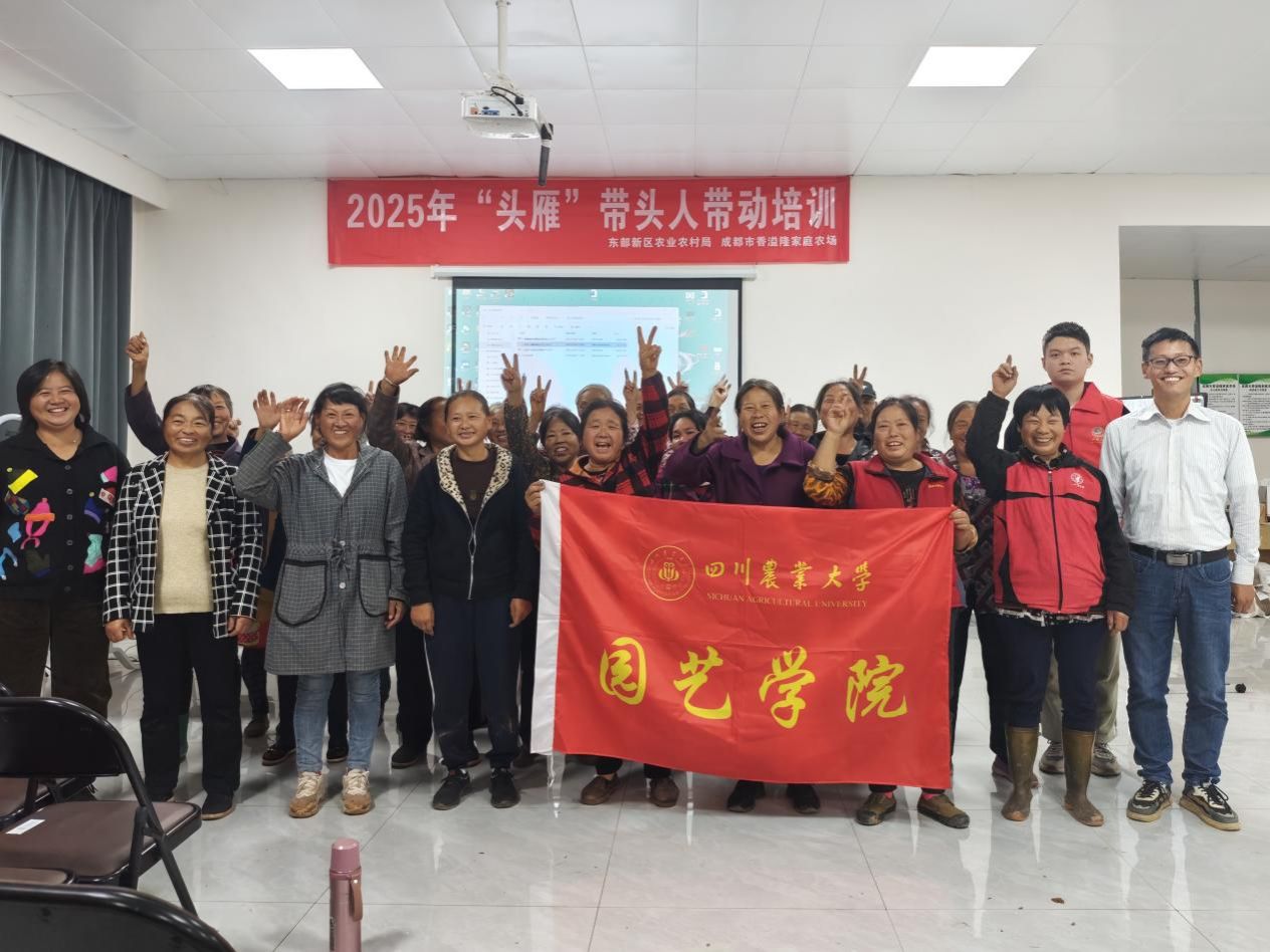 英国上市公司365