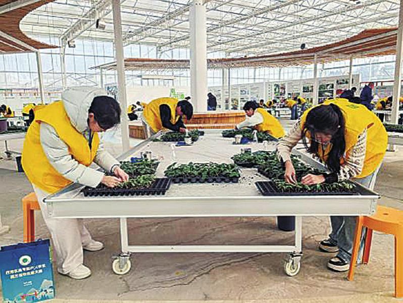 英国上市公司365