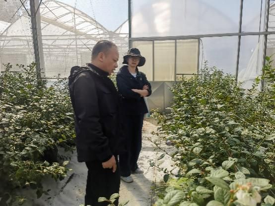 英国上市公司365