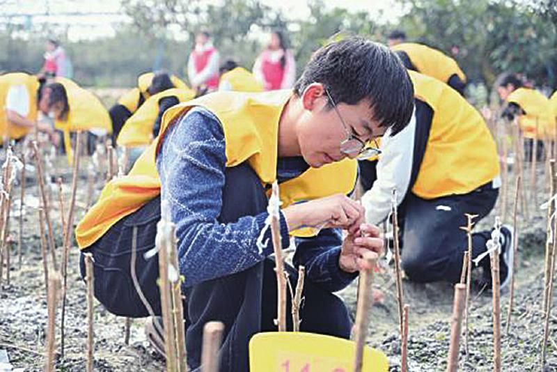 英国上市公司365